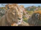 Mufasa: le roi lion - Bande annonce 4 - VF - (2024)