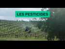 Teaser : Les pesticides : un mal insidieux ?