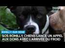 SOS Romilly Chiens lance un appel aux dons avec l'arrivée du froid