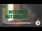 Histoires naturelles #6 : Venaison, des saveurs d'automne