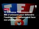 VIDÉO. TF1, France Télévisions et M6 s'unissent pour défendre l'audiovisuel, notamment face aux plateformes