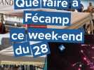 On fait quoi à Fécamp samedi 28 et dimanche 29 décembre ?