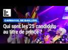 Carnaval de Bailleul : Qui sont les 25 prétendants au titre de prince ?