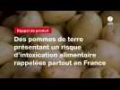 VIDEO. Des pommes de terre présentant un risque d'intoxication alimentaire rappelées partout en France