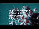 Un premier cas du variant le plus dangereux du Mpox repéré à Rennes, doit-on craindre une épidémie en France?