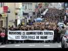 VIDÉO. Le 11 janvier 2015, 30 000 personnes défilaient dans les rues de Lorient après les attentats