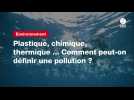 VIDEO. Plastique, chimique, thermique ... Comment peut-on définir une pollution ?