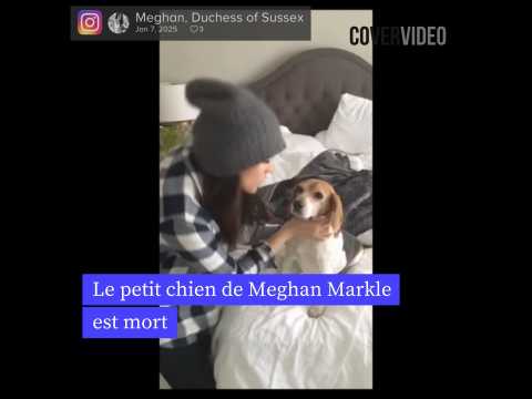 VIDEO : Les larmes intarissables de Meghan Markle aprs la mort de son chien