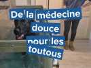 Près de Bernay, cette clinique vétérinaire utilise la médecine douce pour soigner les chiens