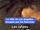 Les terrifiantes images des incendies monstres qui ravagent Los Angeles