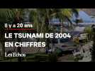 5 chiffres sur le tsunami le plus meurtrier de l'histoire