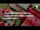 VIDEO. Noël. Les plateformes idéales pour revendre ses cadeaux indésirables