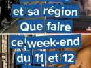 Le Havre et sa région. Que faire samedi 11 et dimanche 12 janvier ?