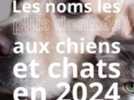 Animaux - Vanille, Vicky, Venus... Découvrez les noms et les races de chiens et chats préférés des Français