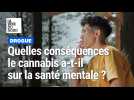 Quelles conséquences le cannabis a-t-il sur la santé mentale ?