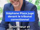 Stéphane Plaza jugé pour violences conjugales