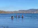 Bain du 1er janvier : une quarantaine de courageux au lac de Paladru