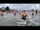 Premier bain de l'année à Larmor-Plage avec les étoiles de mer