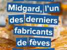 À la découverte des fèves de la maison Midgard