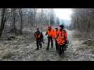 Chasse à l'arc : précision et tradition au coeur de la forêt de Chaumont