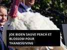 Joe Biden sauve Peach et Blossom pour Thanksgiving