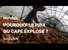 Pourquoi le prix du café explose