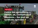 VIDEO. Colère des agriculteurs : FNSEA, JA, Confédération paysanne... Qui sont les syndicats agricoles ?