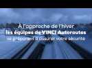 VINCI_coupdelame