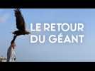 Le retour du géant