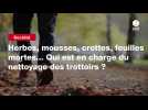 VIDEO. Herbes, mousses, crottes, feuilles mortes... Qui est en charge du nettoyage des trottoirs ?