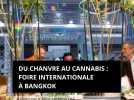 Du chanvre au cannabis : Foire à Bangkok. 4 jours pour faire son marché