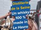 Le Havre. La Distillerie de la Seine sort son premier whisky