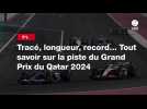 VIDÉO. F1. Tracé, longueur, record... Tout savoir sur la piste du Grand Prix du Qatar 2024