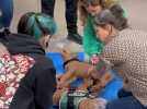 Coudekerque-Branche : une formation au secourisme canin