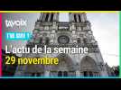 Les 5 infos de la semaine - 29 novembre