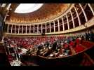 VIDÉO. Débat sur les retraites : incident entre députés dans l'hémicycle