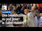 Une bénédiction au poil pour la Saint-Hubert à Laventie.