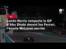 VIDÉO. F1 : Lando Norris remporte le GP d'Abu Dhabi devant les Ferrari, l'écurie McLaren sacrée