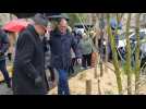 Compiègne. Inauguration d'un arbre de vie, pour les dons de sang et d'organes