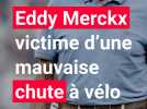 Eddy Merckx victime d'une mauvaise chute à vélo : l'ancien champion cycliste va devoir être opéré