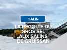 La récolte de gros sel aux salins de Gruissan