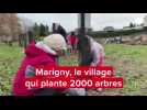 VIDÉO. Près de Saint-Lô, un village et ses enfants ont planté 2 000 arbres