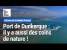 Port de Dunkerque : il y a aussi des coins de nature