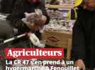 Colère des agriculteurs : bloquée par les CRS à Toulouse, la CR 47 s'en prend à un hypermarché à Fenouillet