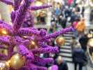 VIDÉO. Le passage Pommeraye scintille de violet pour Noël à Nantes