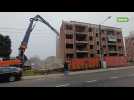 Deux balafres de moins dans le paysage de Montignies-sur Sambre