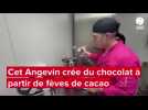 VIDÉO. Cet Angevin crée du chocolat à partir de fèves de cacao