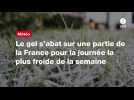 VIDEO. Météo : le gel s'abat sur une partie de la France pour la journée la plus froide de la semaine