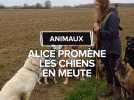 Alice est comportementaliste canin dans le Tarn-et-Garonne