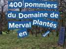 Pays de Bray : 400 pommiers du Domaine de Merval plantés en Seine-Maritime